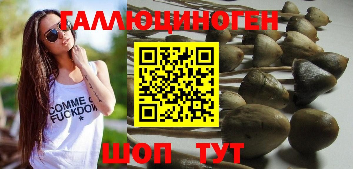 Псилоцибиновые грибы Magic Shrooms  Вход с VPN  Чайковский  наркота  Псилоцибиновые грибы мухоморы 