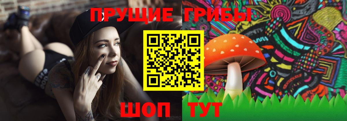 Псилоцибиновые грибы прущие грибы Чайковский